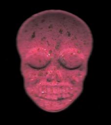 Skull molecular scheme