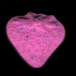 Strawberry molecular scheme
