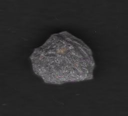 Lion molecular scheme