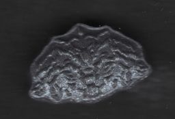 Inner/Sinner Cerberus molecular scheme