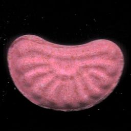 Sunrise molecular scheme