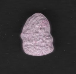 Trump molecular scheme