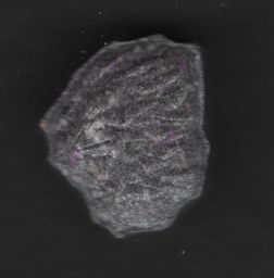 Lion molecular scheme