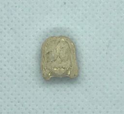 Tekashi69 molecular scheme