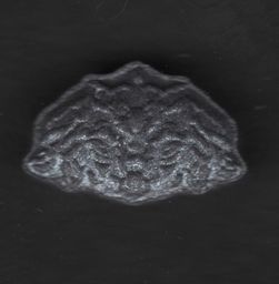 Inner/Sinner Cerberus molecular scheme