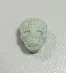 Skull molecular scheme