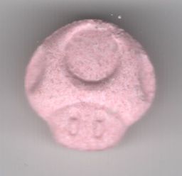 Mushroom molecular scheme