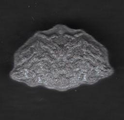 Inner/Sinner Cerberus molecular scheme