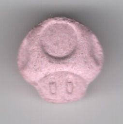 Mushroom molecular scheme