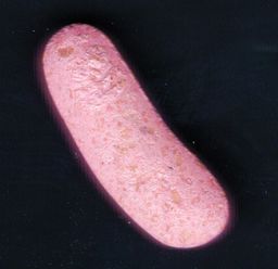 Pickle Rick molecular scheme