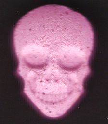 Skull molecular scheme