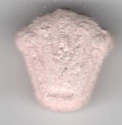 Rolex molecular scheme