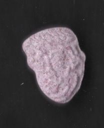 Trump molecular scheme