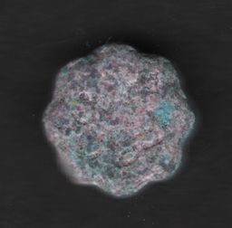 Chupa Chups molecular scheme