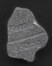 Grim Reaper molecular scheme