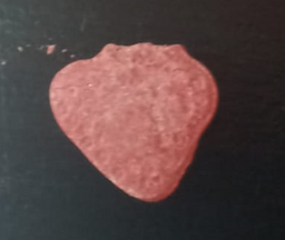 Strawberry molecular scheme