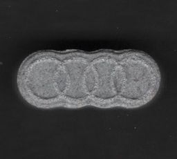 Audi molecular scheme