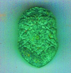 Unidentifiable molecular scheme