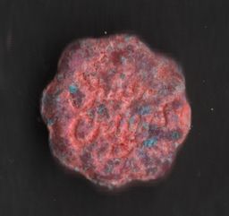 Chupa Chups molecular scheme