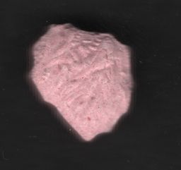 Lion molecular scheme