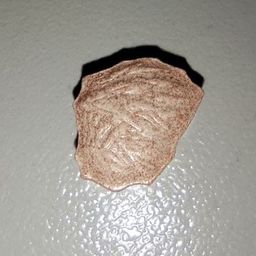 Lion molecular scheme