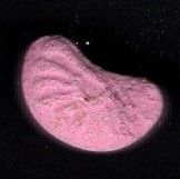 Sunrise molecular scheme