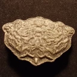 Inner/Sinner Cerberus molecular scheme