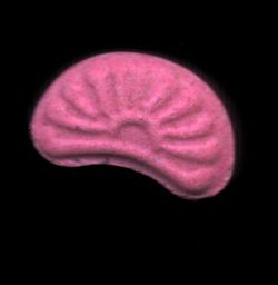 Sunrise molecular scheme