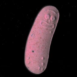 Logo new molecular scheme