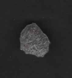 Lion molecular scheme