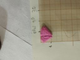 Punisher molecular scheme