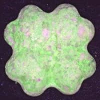 Kleeblatt molecular scheme