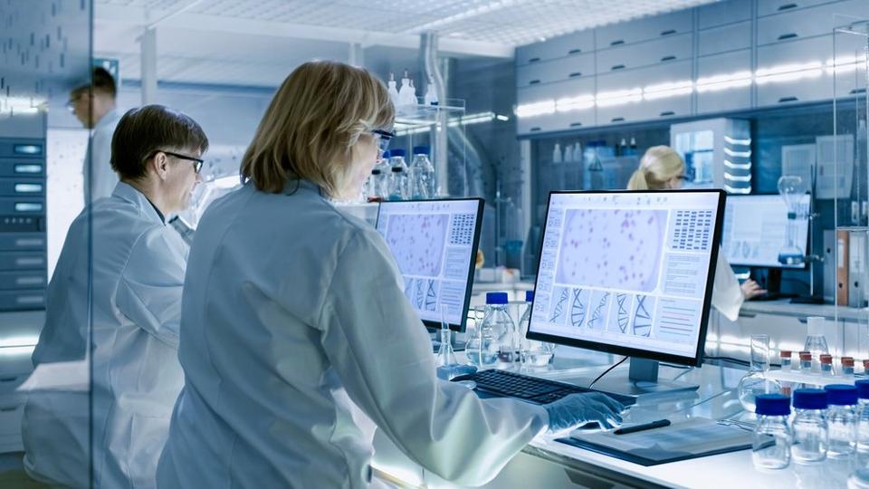 Researchers are looking at their screens in a lab