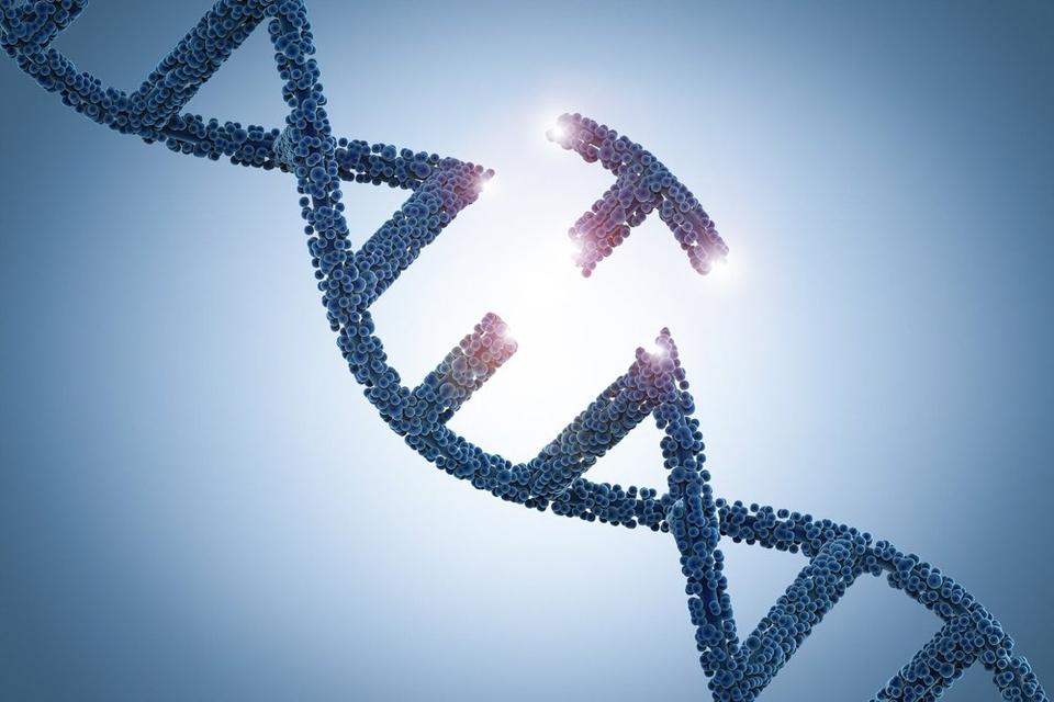 A broken DNA strand, symboliizing the removal and replacement of gene transfer therapies