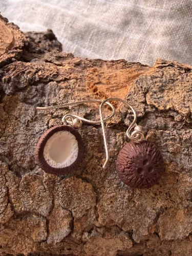 Pendientes Coquitos