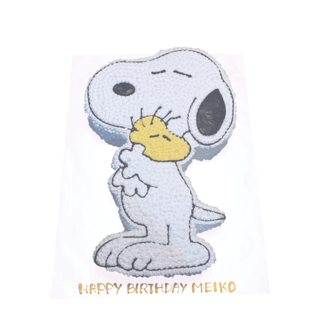 SNOOPY (CUSTOMIZE ) 2.5Kg