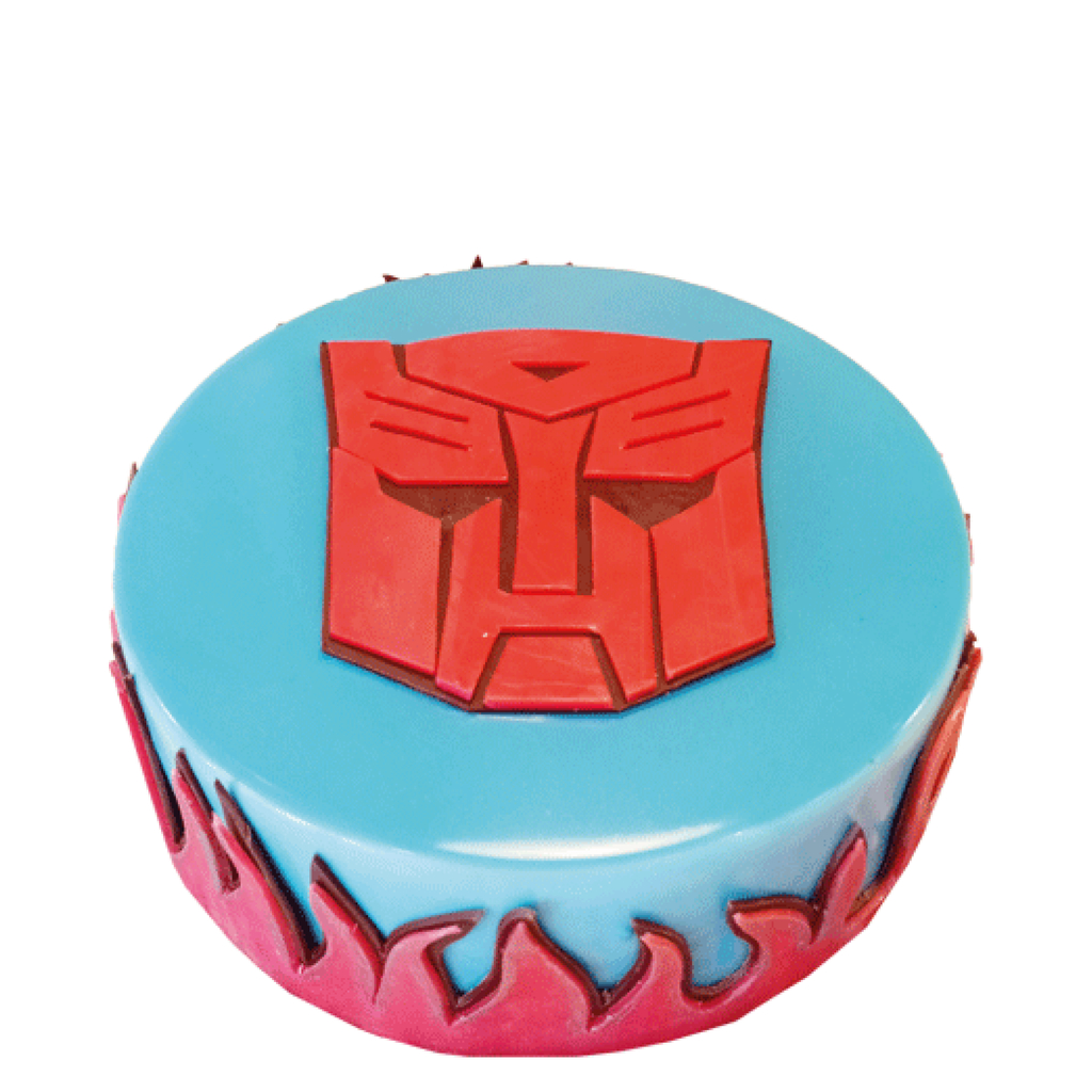 TRANSFORMERS (CUSTOMIZE)
