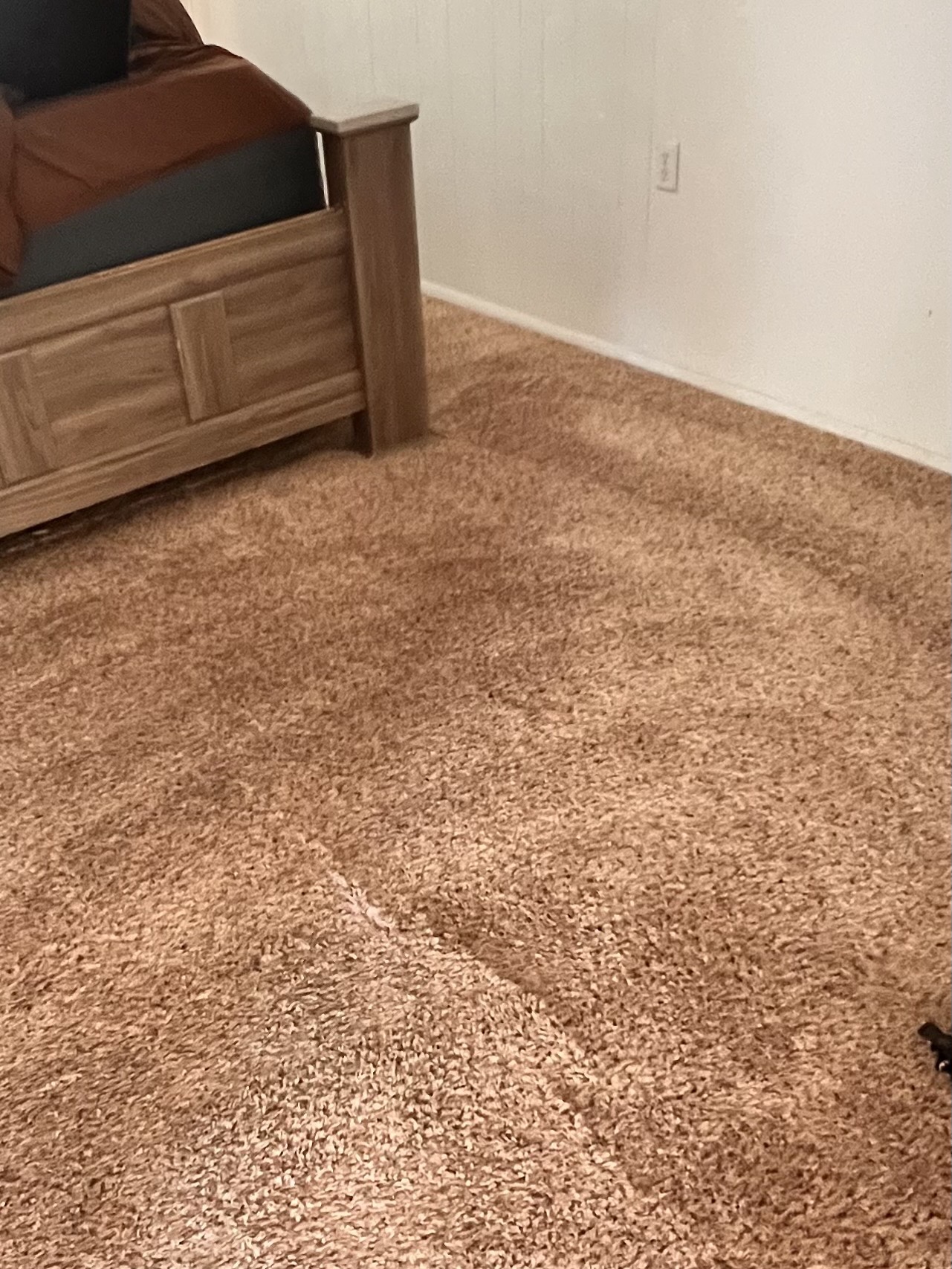Carpet Cleaning