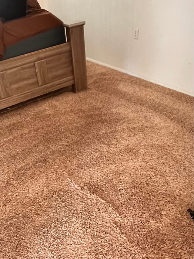 Carpet Cleaning