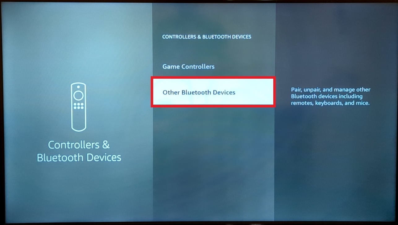 Step 3: Select Other Bluetooth Devices