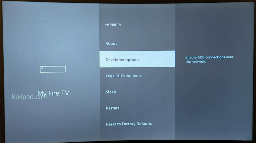 Step 3: Selecting the Developer Options