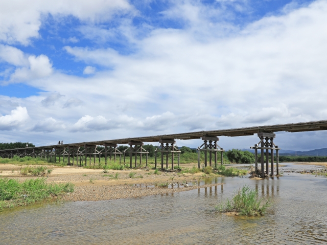 京都・八幡~京田辺 リバーサイド&里山丘陵ラリー image 2