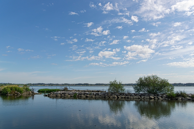 常陸国 水郷〜霞ヶ浦へのアプローチラリー image 2