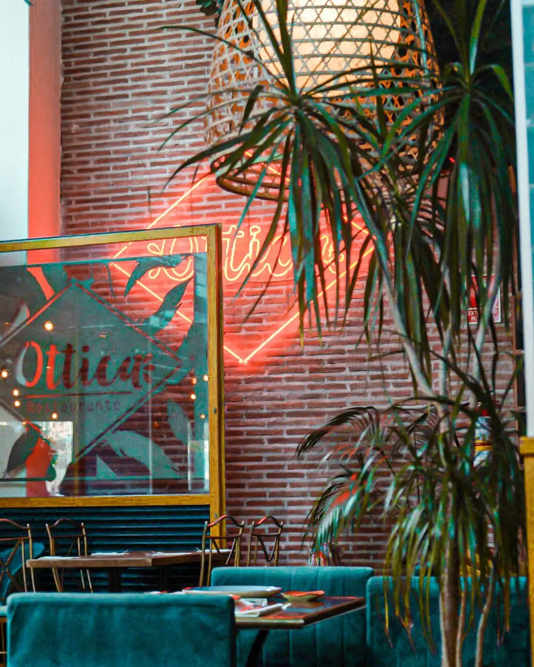 Imagen 8 del restaurante