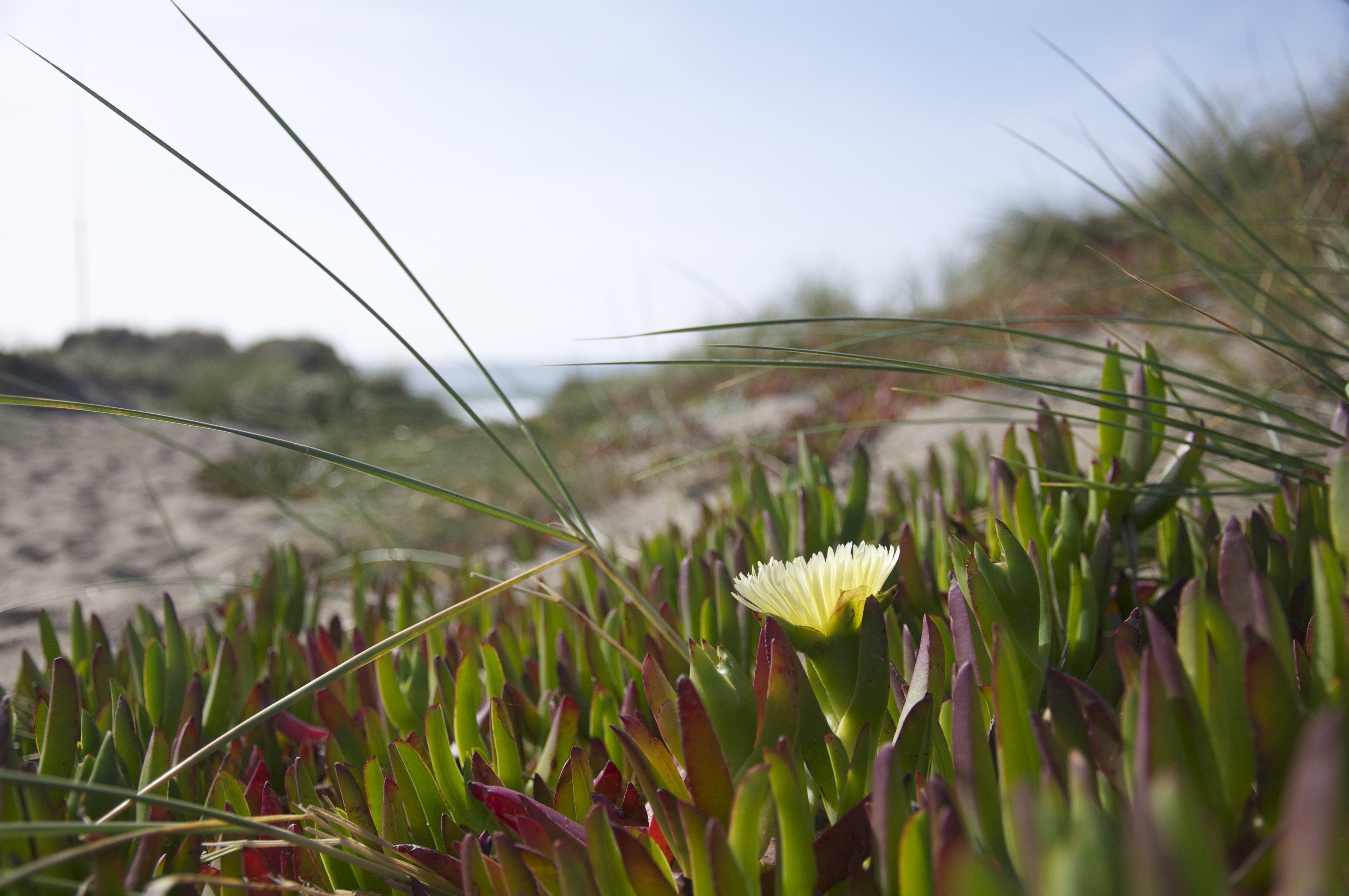 Imagen 2 de Restaruante la Komvada - Restaurante en Chamberí Imagen 2 del restaurante