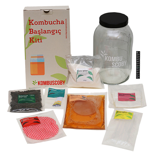 kombuscobykombuchabaslangickiti