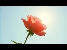 Peter ITIAH - Cette femme