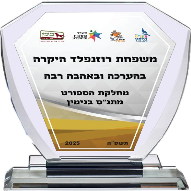 מגן זכוכית ישר (MC3200)
