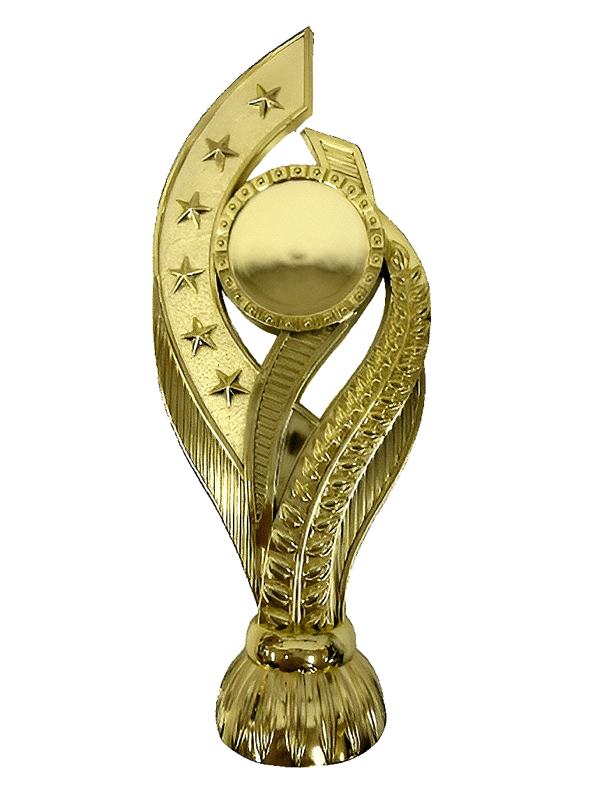 פסגת הכוכבים 2