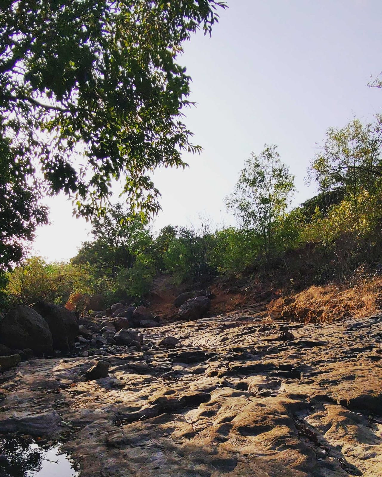 Nature Trail At Ori image 3